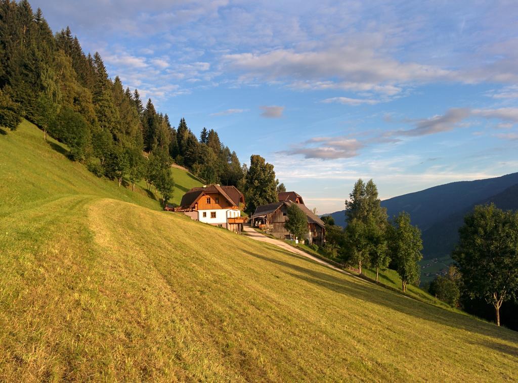 Lercherhof Feld am See Habitación foto